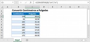 Convertir Centímetros a Pulgadas en Excel y Google Sheets