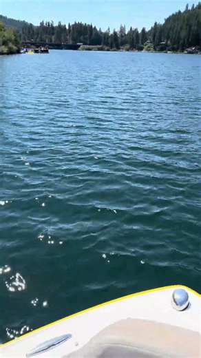 Boating On Coeur d Alene Lake!!🚤