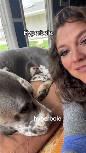 What's the Word? with Ms. Jana • Hyperbole