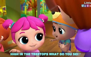 【史上最全英文儿歌单曲收集】Zoo song