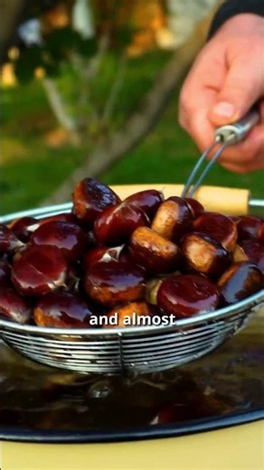 Autumn Delicacy: Oven-Roasted Edible Chestnuts