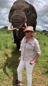 Adorable Elephant Pranks Human! #Shorts #wildlife #animal #nature #animals #wildlifephotography #naturephotography #pet #photography #cute #travel #photooftheday #naturelovers #pets #dog #love #outdoors #instagood #adventure #birds #petstagram #landscape #hiking #adorable #puppy #dogsofinstagram #picoftheday #cat #dogs #travelphotography #follow | Pradeep Kannojiya | Facebook