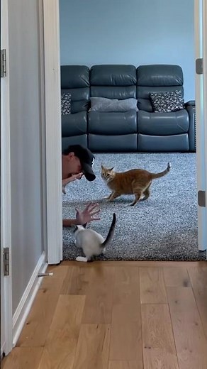 Gary loves walking in your path