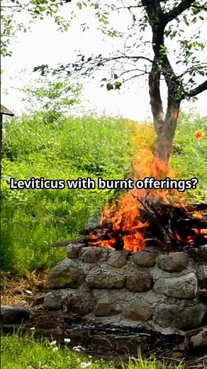 Leviticus 1: The Burnt Offering – A Call to Worship, Sacrifice, and Holiness Before God.