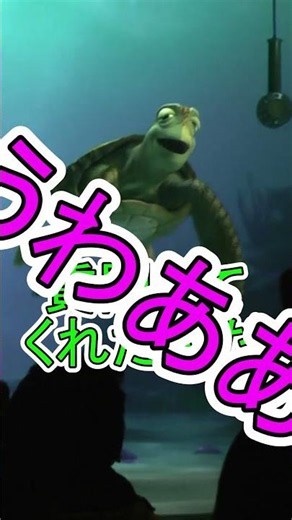 うわああああああ【タートルトーク】東京ディズニーシー