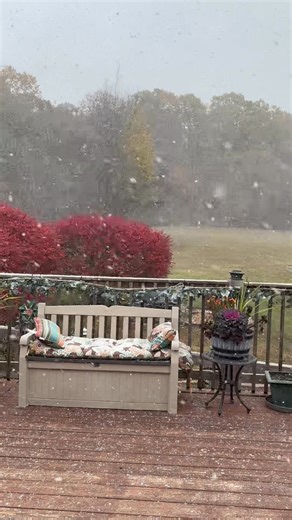 1st snow of 2025 | Beth Mason