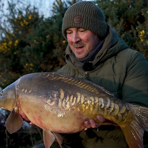 835 reactions · 20 shares | USING INSECT MEAL ON NORTON DISNEY 烈...