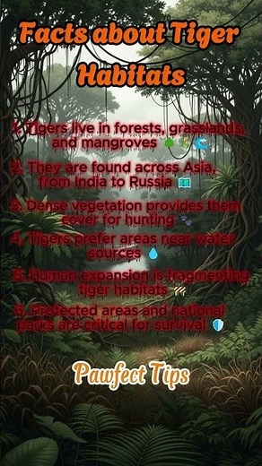 Where Do Tigers Really Live? 🐅 | Discover the Secret World of Tiger Habitats