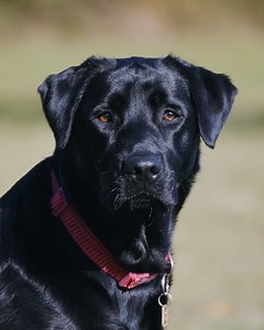 2K views · 186 reactions | Have you seen the latest episode of ‘The...