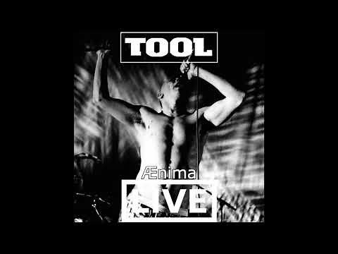 Tool Ænima Full Expanded Album Live Redux