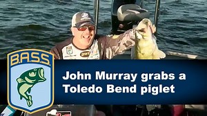 Landing this "piglet" made Toledo Bend Champion John Murray, Professional Angler laugh with joy! | Bassmaster