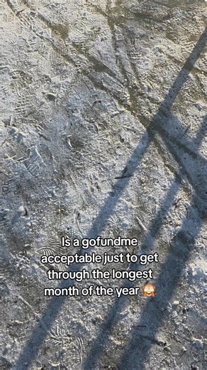 joking / not joking #fyp #gofundme #help #january