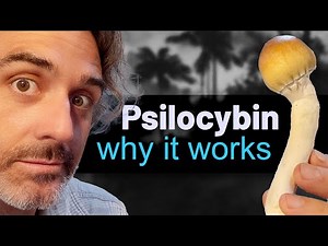 Magic Mushrooms DEMYSTIFIED: The Science and Practice Explained