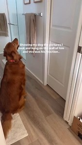 2.9K views · 713 reactions | Good News Network on Reels | Facebook