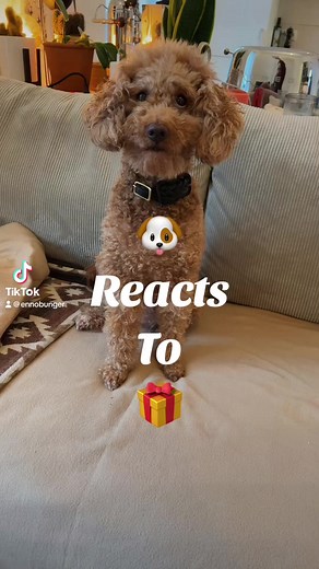 2.1K views · 24 reactions | Edle H(e)arttickets gibts hier: shop.ennobunger.de | Enno Bunger | Facebook