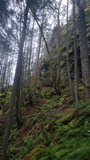 16K views · 388 reactions | Exploring by Firelight – 100-Year-Old Carbide Lamp in a 1900 Mine Join us as we take you back in time exploring an abandoned antimony mine from the early 1900s, hidden in the Cascade foothills of Washington State. In this video, we use a fully functional 100-year-old carbide miners’ lamp, as we light our way through dark tunnels just as miners did over a century ago. #mines #pnw #mineexploring #HiddenHistory | Ghost Towns and Mines of Washington | Facebook