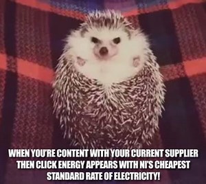 2K views · 13 shares | Why stay with your electricity company when you can switch & save with Northern Ireland's Cheapest standard rate of electricity with www.clickenergyni.com? | Click Energy NI | Facebook