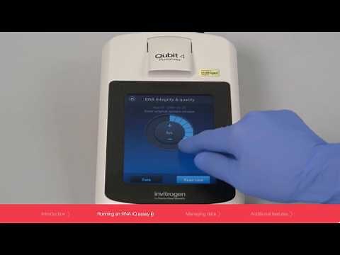 Qubit 4 Fluorometer: Accurate RNA Quantitation and Quality