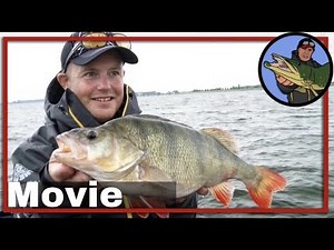 🎣 PERCH PRO 4, CWC FISHING TEAM COMPILATION 🎥 vissen op roofvis | perch fishing | baars vissen #51