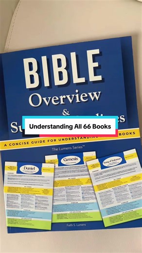 This book is perfect if you need a guide to help you really understand the books of the Bible. #christiantiktok #bibleoverview #biblestudy