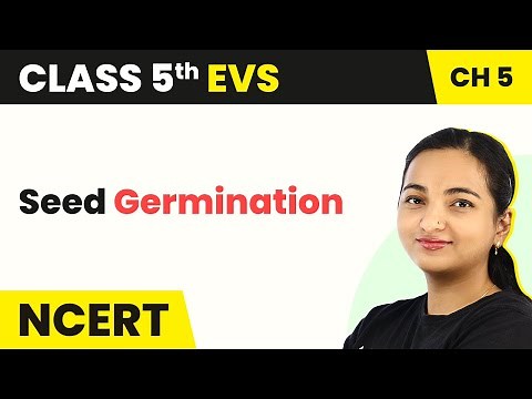 Seed Germination - Seeds and Seeds | Class 5 EVS Chapter 5