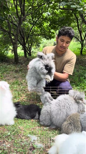 just a boy and his fluffy rabbits 🌸#shorts #viral #rabbit