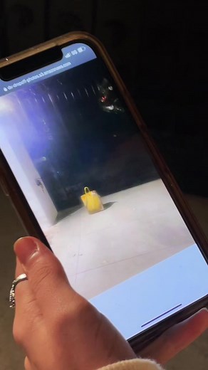 Meeting Our Neighbors After Six Months: A Food Surprise