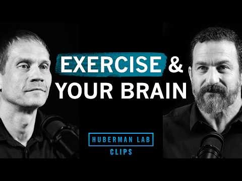 How to Exercise For Improved Cognitive Function | Dr. Tommy Wood & Dr. Andrew Huberman