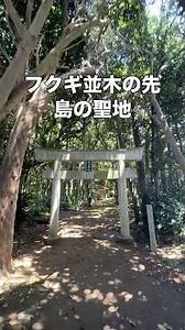 フクギ並木の先！島の聖地 #沖縄旅行 #沖縄観光 #沖縄離島