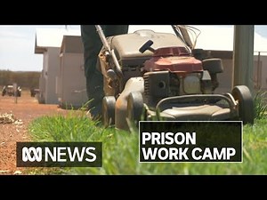 ‘You feel useful’: Prison work camp helping inmates prepare for life on the outside | ABC News