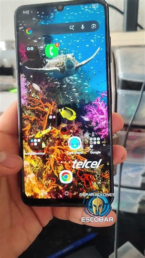 📱Cambio de pantalla Samsung a06🦾😎 #smartphone #tecnologia #tablet #puertovallarta #samsung