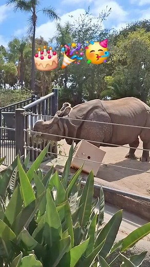 Zoo Guy Ryan on TikTok