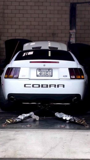 Mustang SVT Cobra: Dyno Pull Sound Compilation