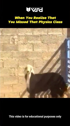 When You Realize You Should’ve Attended Physics Class 😳📚 | Real Life Physics #shorts #viral