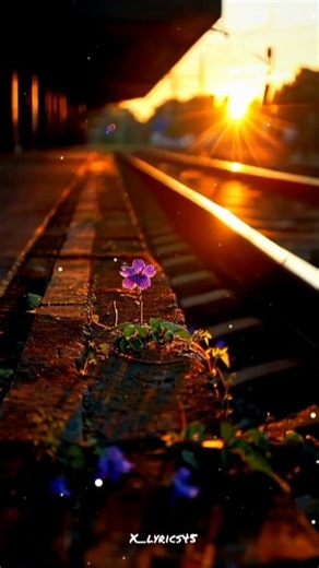 Feel This Song 💝🥀🥺#shorts #lyrics #aestheic #viral #status #sadstatus #shortsfeed #lovestatus #trend