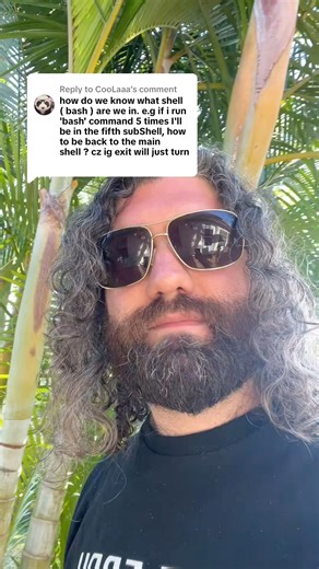 Dave Eddy | using the SHLVL variable in bash to see how deeply nested you are. you suck at programming #programming #devops #bash #linux #unix... | Instagram