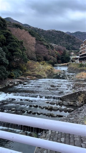箱根の日帰り温泉旅行で癒しのひととき