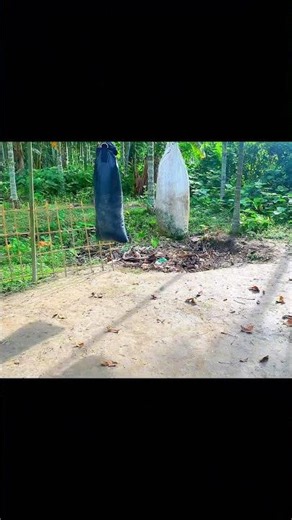 ￼ Side kick Kung fu traning..