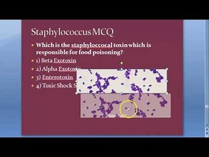Microbiology 101 z Staphylococcus Staph aureus MCQs NEETPG