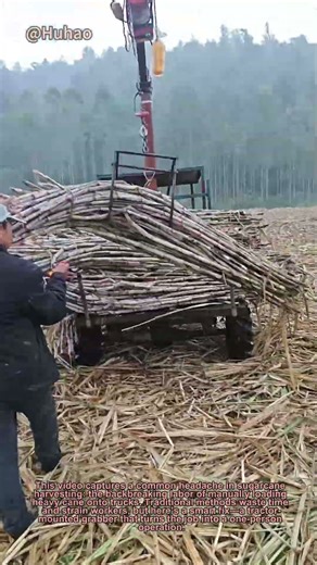 "Genius Farm Hack: How a Simple Grabber Saves Time Loading Sugarcane! | DIY Agriculture"