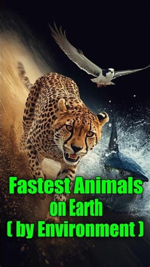 The Fastest Animals on Earth: Land, Sea, and Air! 🏁 #shorts