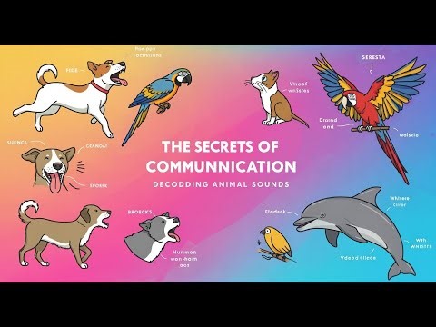 The Secrets of Animal Communication: Decoding Animal Sounds #animals #animalsounds