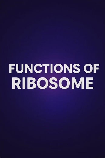 “Ribosomes: The Protein Factories of Life! 🔬💪”#function#trending#shortvideo#shorts#viral#trend