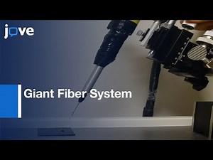 Paired Nanoinjection & Electrophysiology Assay: Screening Bioactivity Of Compounds-Preview