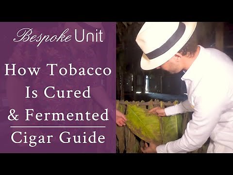 How Cigar Tobacco Is Cured, Fermented, & Aged For By Davidoff
