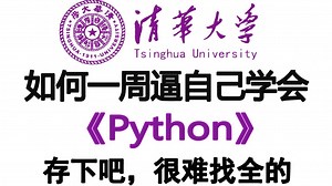 【全600集】全B站最细最易懂的Python全套教程，2025最新版，适合零基础小白入门到精通Python，全程干货学完即就业！包含Python爬虫教程！