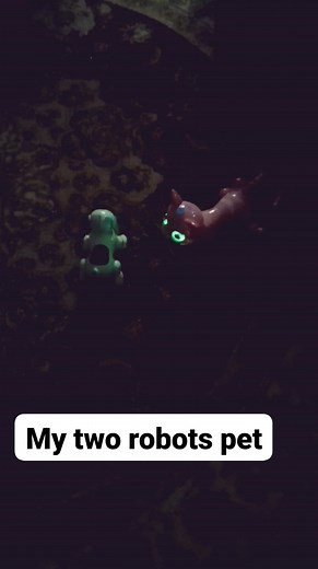 @MichelleRobinson | Michelle Robinson