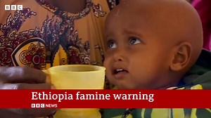 UK warns of food crisis triggered by war and drought | BBC News | Dimtsi Weyane