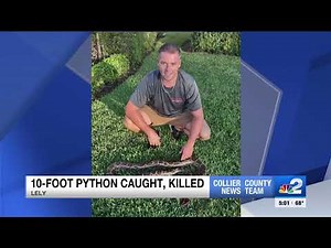 10-foot Burmese python captured behind Lely Resort home