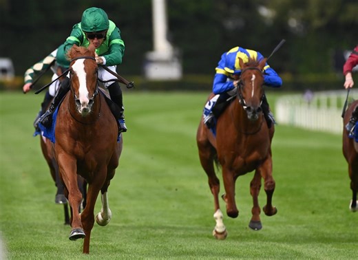 Benvenuto Cellini A Likely Runner At Chester Following Epsom Postponement